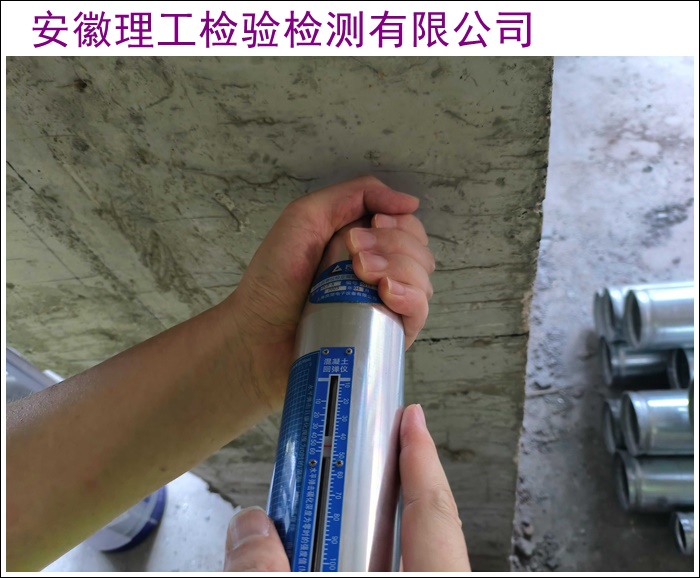 黔西南厂房安全质量检测办理机构2026-厂家推荐盘点