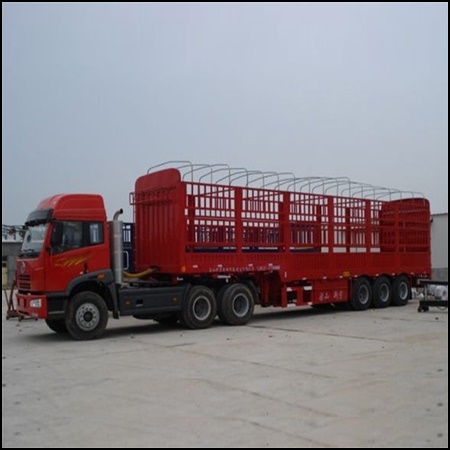 长沙到石家庄井陉矿物流公司-物流公司查询2026(省/市/县/随时接单)