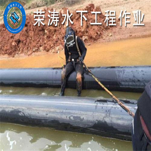 2026升级：潜水服务公司本地服务企业厂家推荐