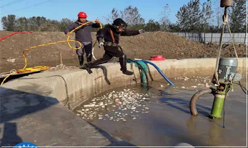 海南贵德取水头安装-水下安装公司(2026公司排名推荐)