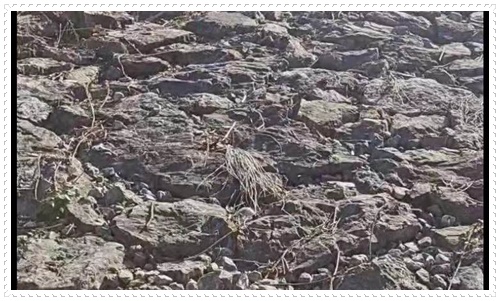 咸阳水中安装推流器支架公司2026本地施工队