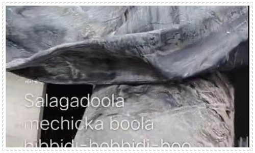 随州水中安装推流器支架施工队2026本地施工队