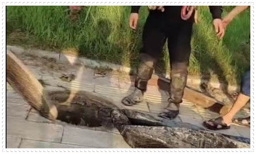 2026安心之选:水下安装曝气管施工单位推荐