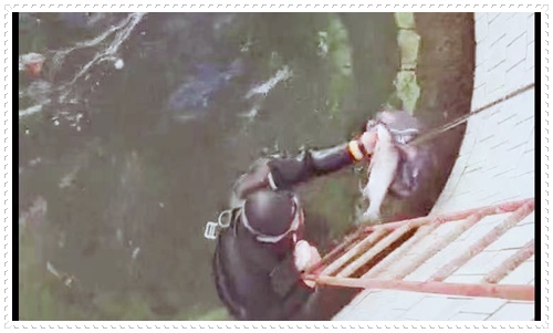 衢州水下切割管道施工队2026厂家推荐盘点