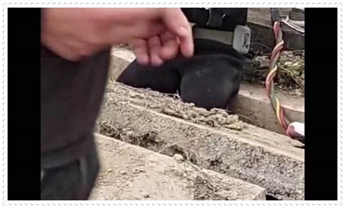 舟山污水厂水下曝气盘更换施工队2026电话24小时在线