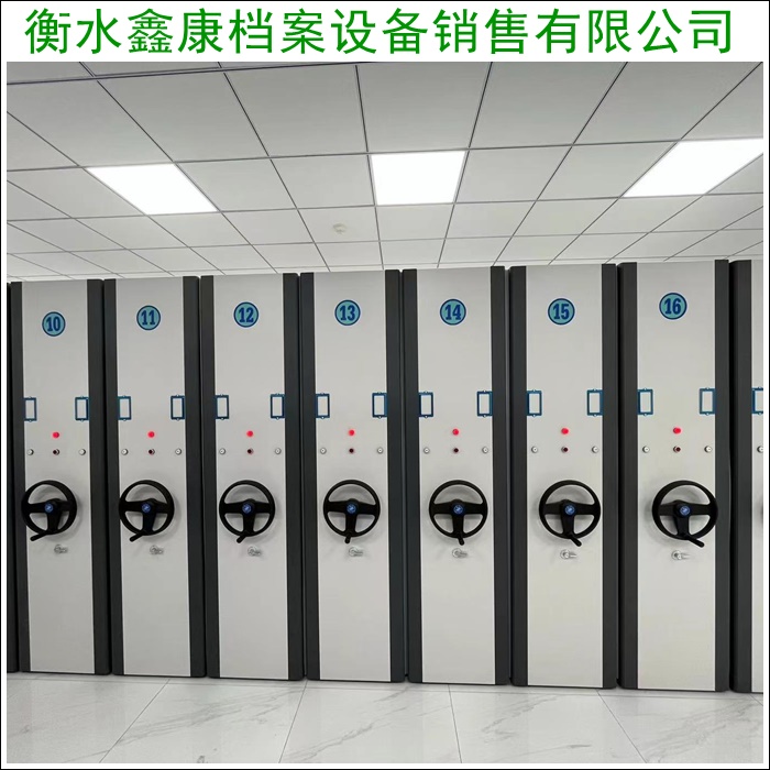 智能密集柜-智能自动密集架2026阿里日土厂家排名最新盘点