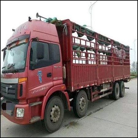 佛山兴泰直达到资阳乐至物流公司门框运货2026省市县<安全快捷>全境直达