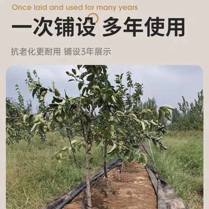 徐州种植基地防草布价格《2026服务商怎么选》