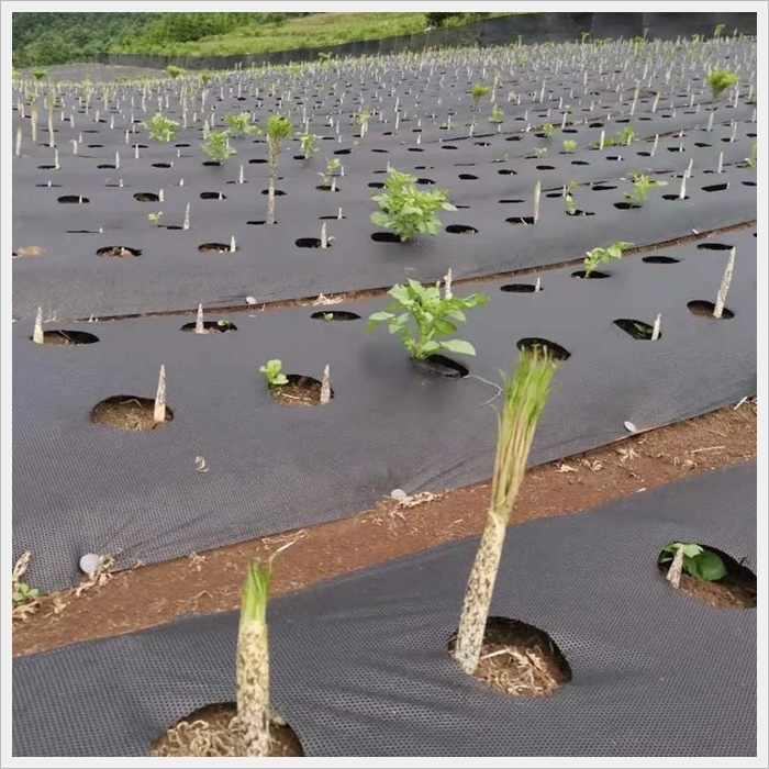 百色无纺布防草布厂家《2026厂家推荐排名》