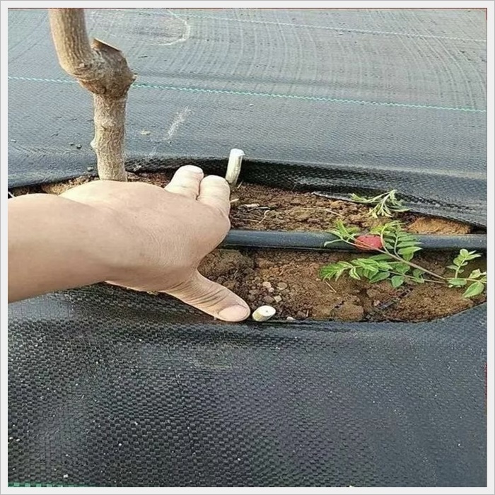 北京防草布保湿保肥厂家《2026厂家推荐排名》