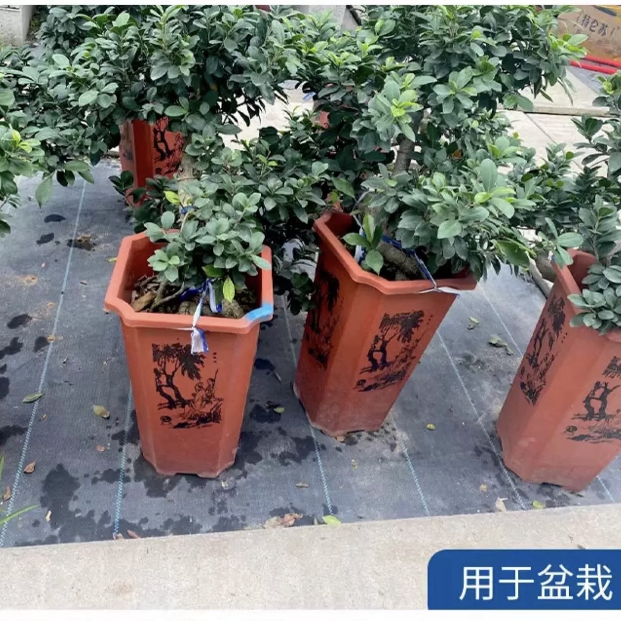 昭通防草布透气哪家好《2026厂家排名解读》