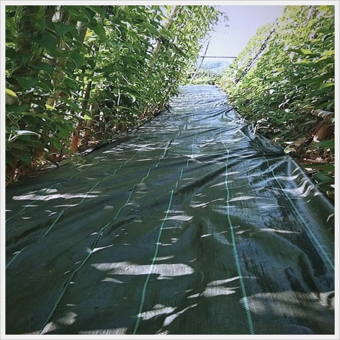 内江防草布除草哪家好《2026厂家排名解读》