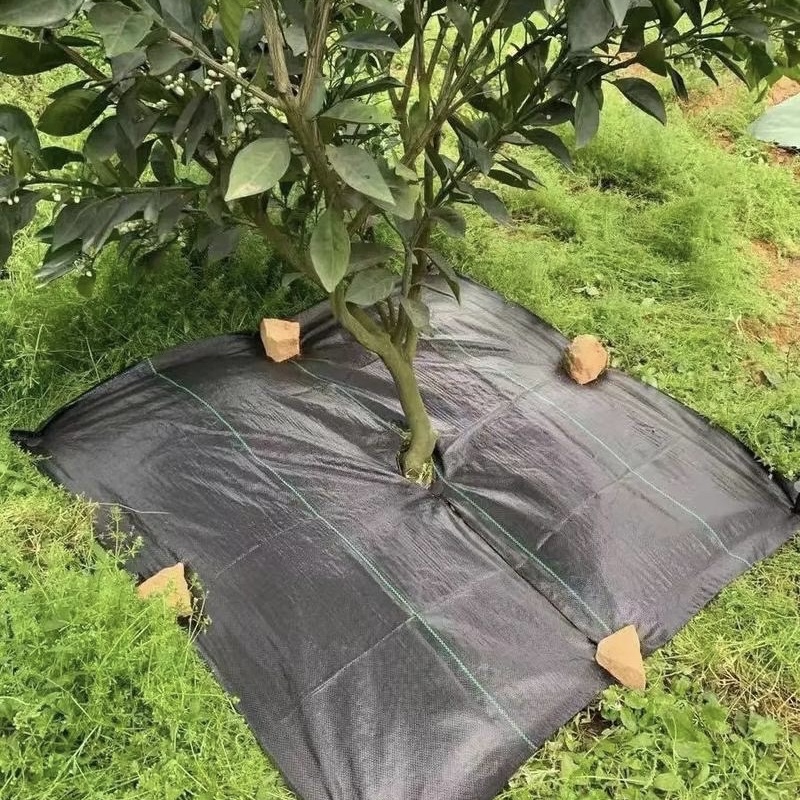 滨州果树防草布批发《2026厂家热门排名》