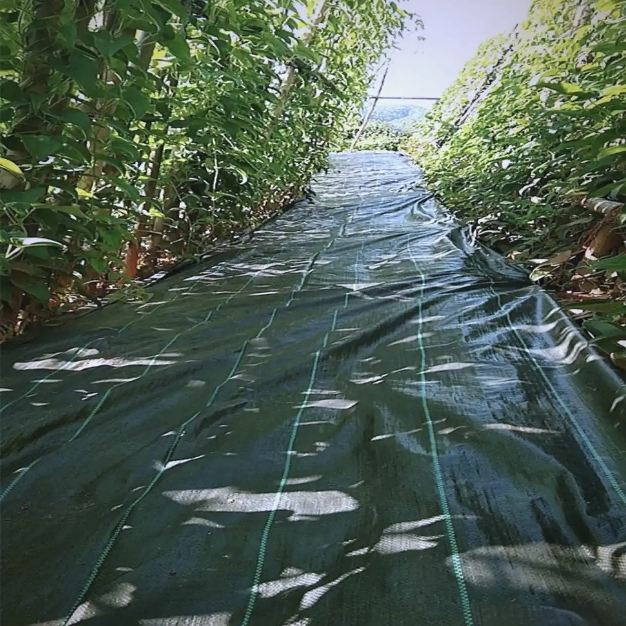 四平花卉种植防草布价格多少《2026供应商推荐》