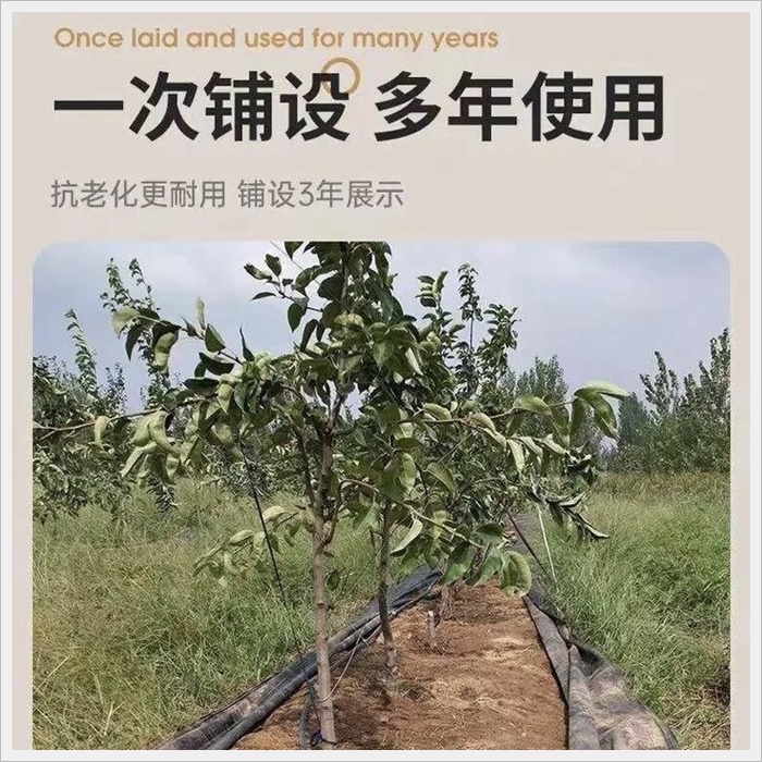 宁波盖草布厂家《2026厂家推荐排名》