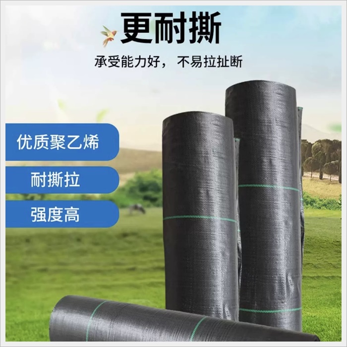 昭通防草布透气哪家好《2026厂家排名解读》