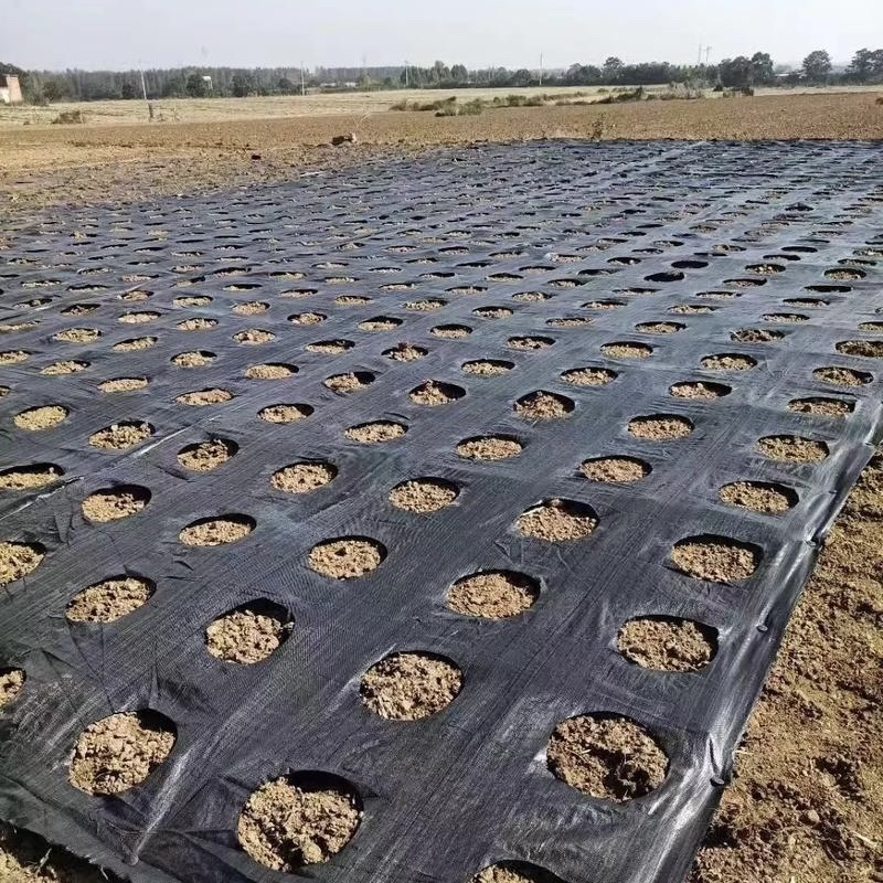 辽阳抗老化防草布价格多少《2026供应商推荐》