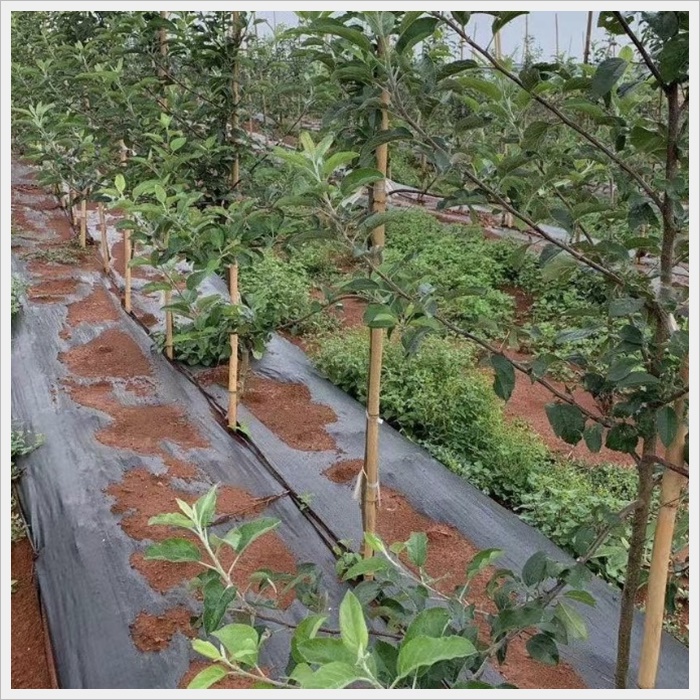 威海防草布防虫厂家联系方式《2026厂家推荐观察》