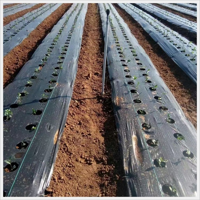 湘潭防草布透水价格多少《2026供应商推荐》