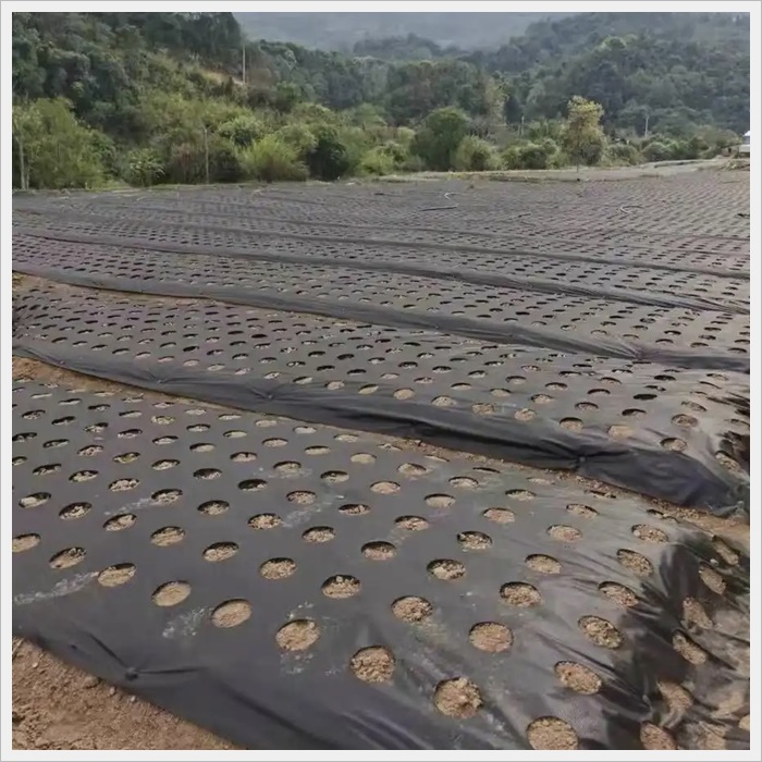 湘潭防草布透水价格多少《2026供应商推荐》