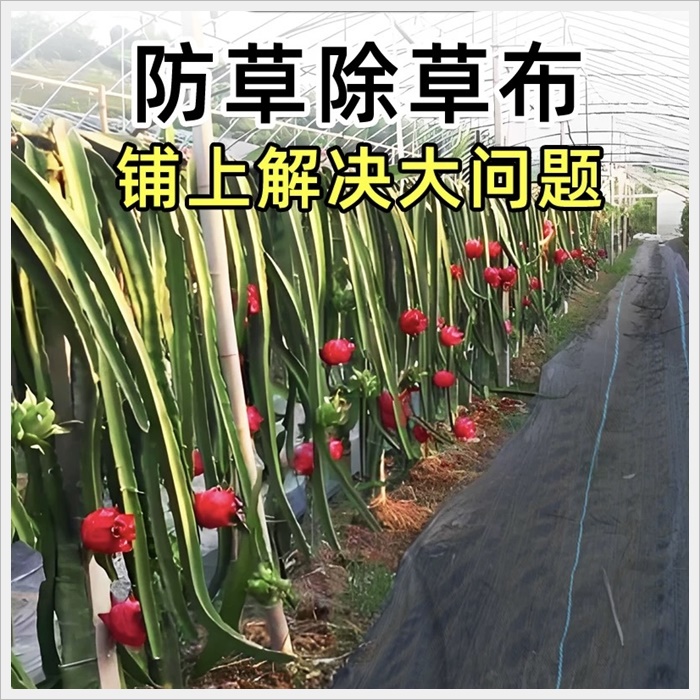 本溪地膜替代防草布价格《2026服务商怎么选》