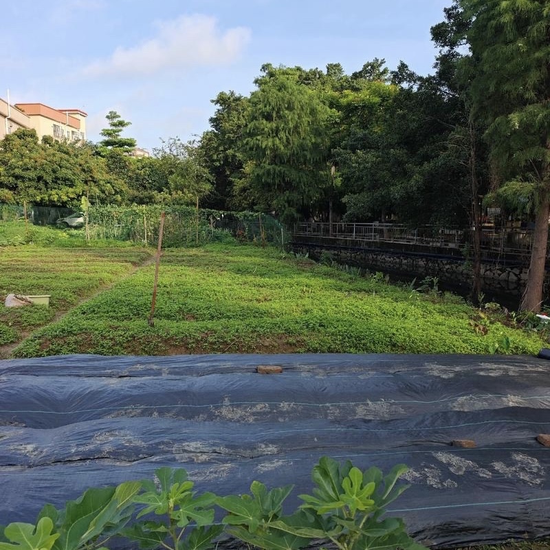 南通耐用防草布批发《2026厂家热门排名》