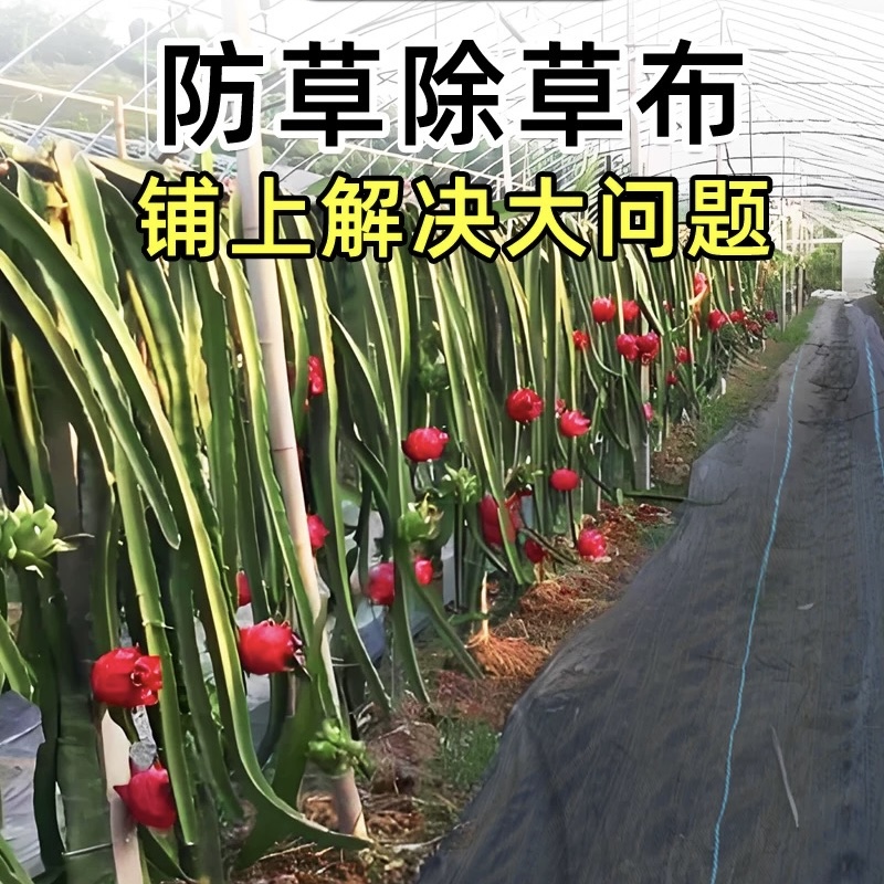 南京全新料防草布价格《2026服务商怎么选》