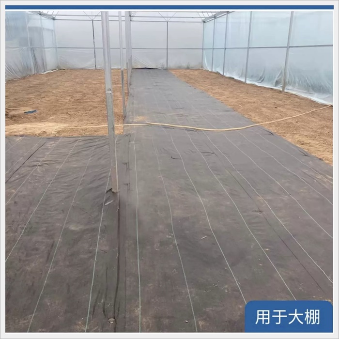 泰安免除草防草布价格多少《2026供应商推荐》