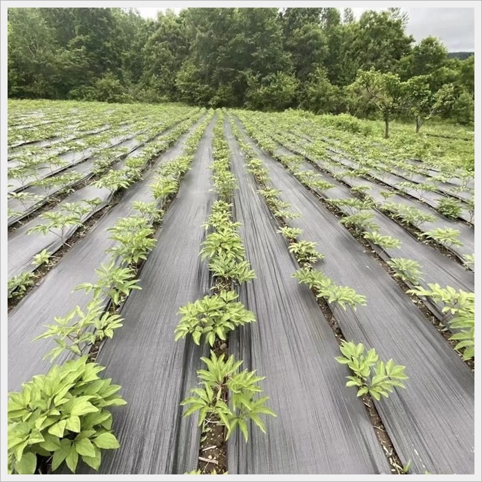 长治盖草布价格《2026服务商怎么选》