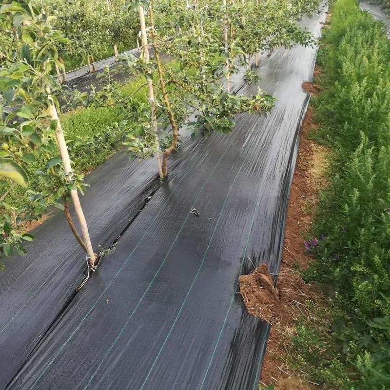 保山遮草布厂家《2026厂家推荐排名》