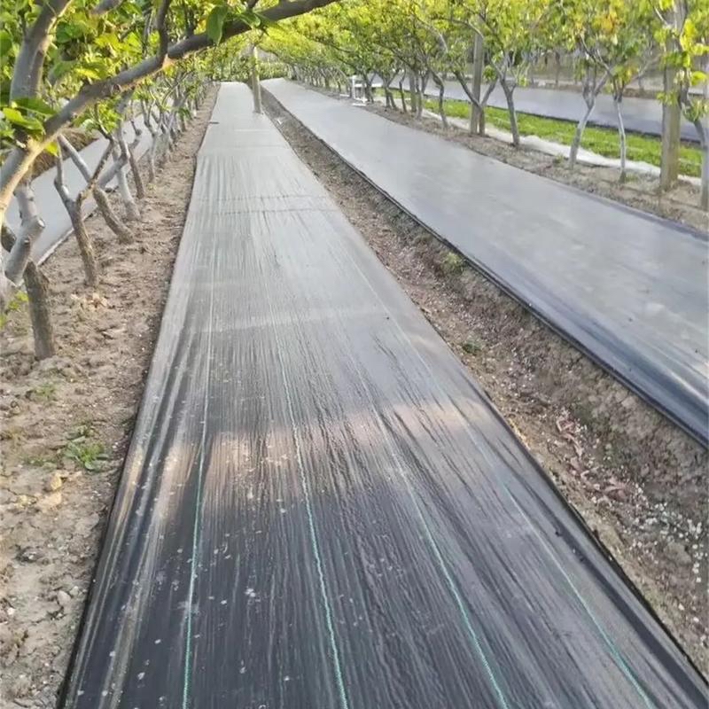 南昌整卷防草布厂家《2026厂家推荐排名》