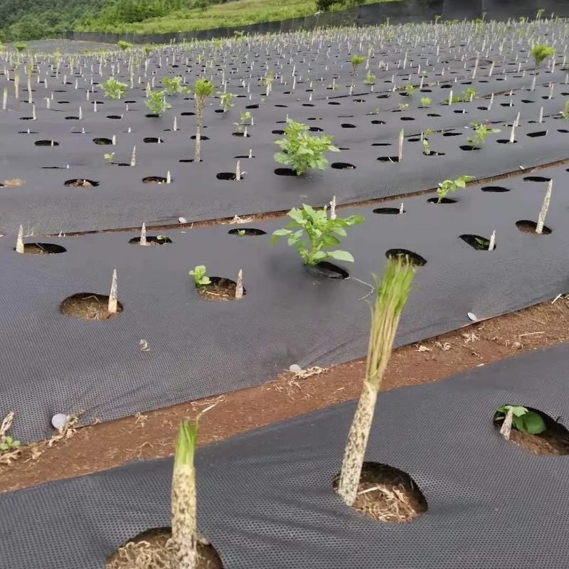 酒泉定制防草布价格多少《2026供应商推荐》