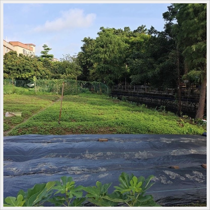 鹤岗1.2米防草布哪家好《2026厂家排名解读》