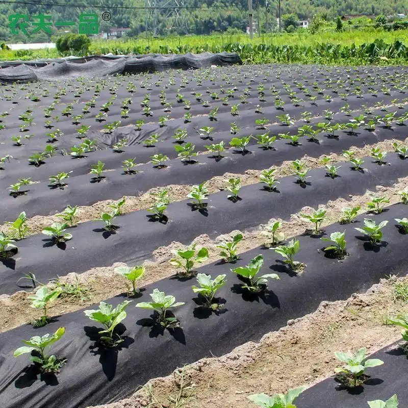 嘉兴鱼塘护坡专用防草布批发《2026厂家热门排名》