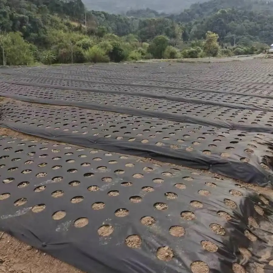 嘉兴鱼塘护坡专用防草布批发《2026厂家热门排名》