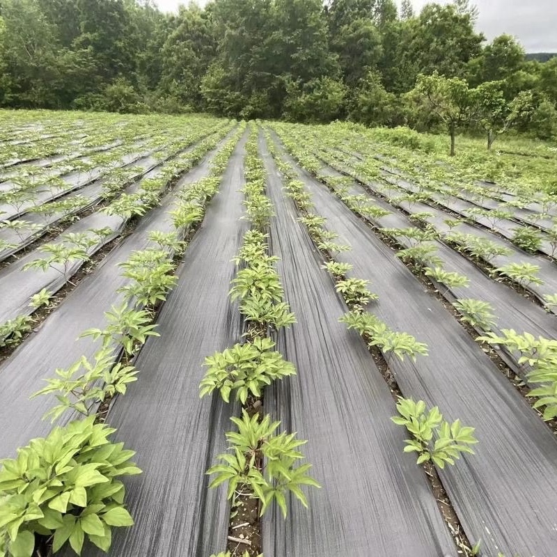 肇庆防草布除草价格多少《2026供应商推荐》