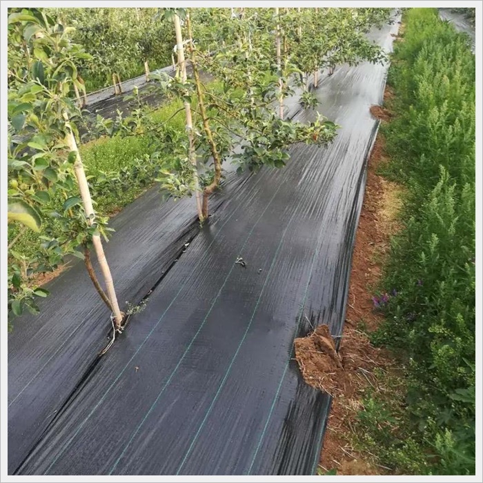 呼伦贝尔1米防草布批发《2026厂家热门排名》