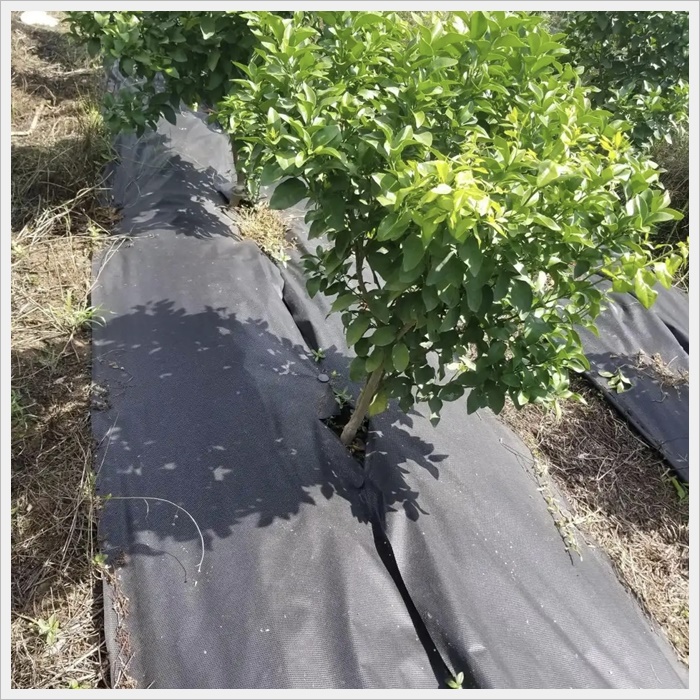 宿迁果园防草布哪家好《2026厂家排名解读》
