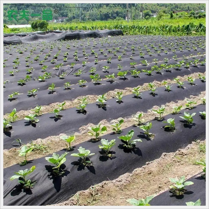 铜仁防草布除草批发《2026厂家热门排名》