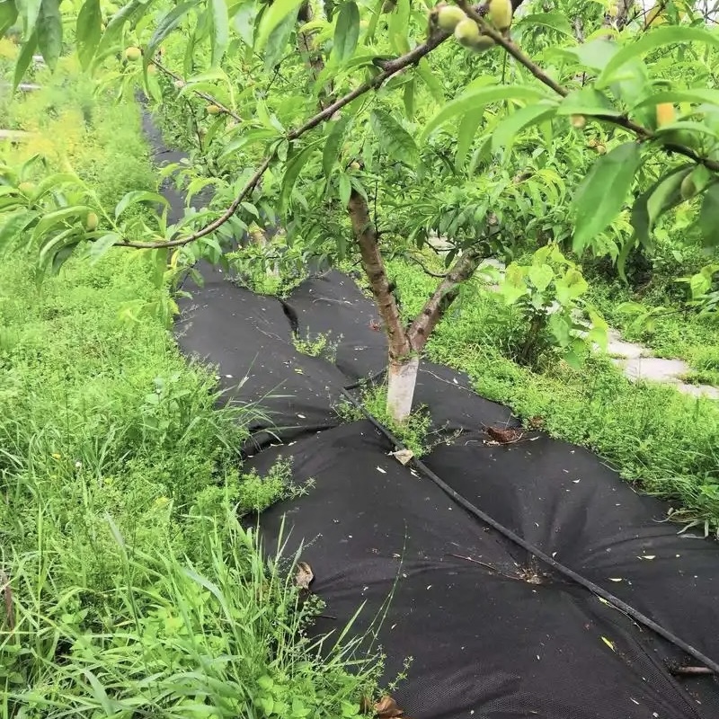 鹤岗优质防草布厂家《2026厂家推荐排名》