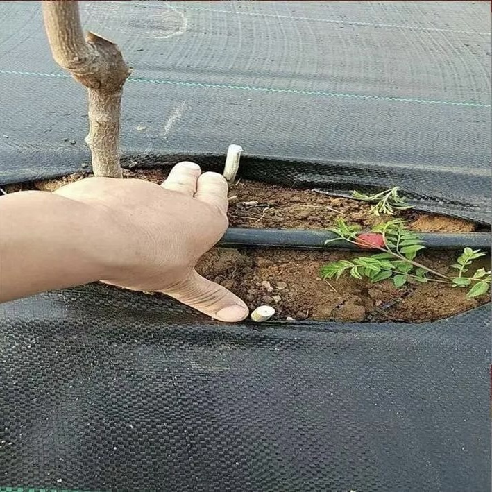 七台河1米防草布哪家好《2026厂家排名解读》