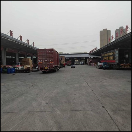 石家庄到嘉兴物流专线-石家庄到嘉兴个人搬家运输2026省市县快运直达