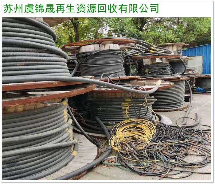 连云港金盘科技干式变压器回收/干式变压器厂家联系2026+市+县区域服务