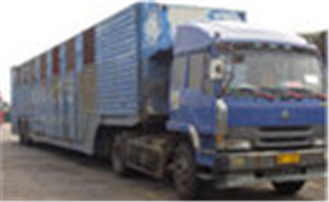 石家庄到衡水安平物流公司-石家庄直达到衡水安平货运专线2026/全+境+直+达