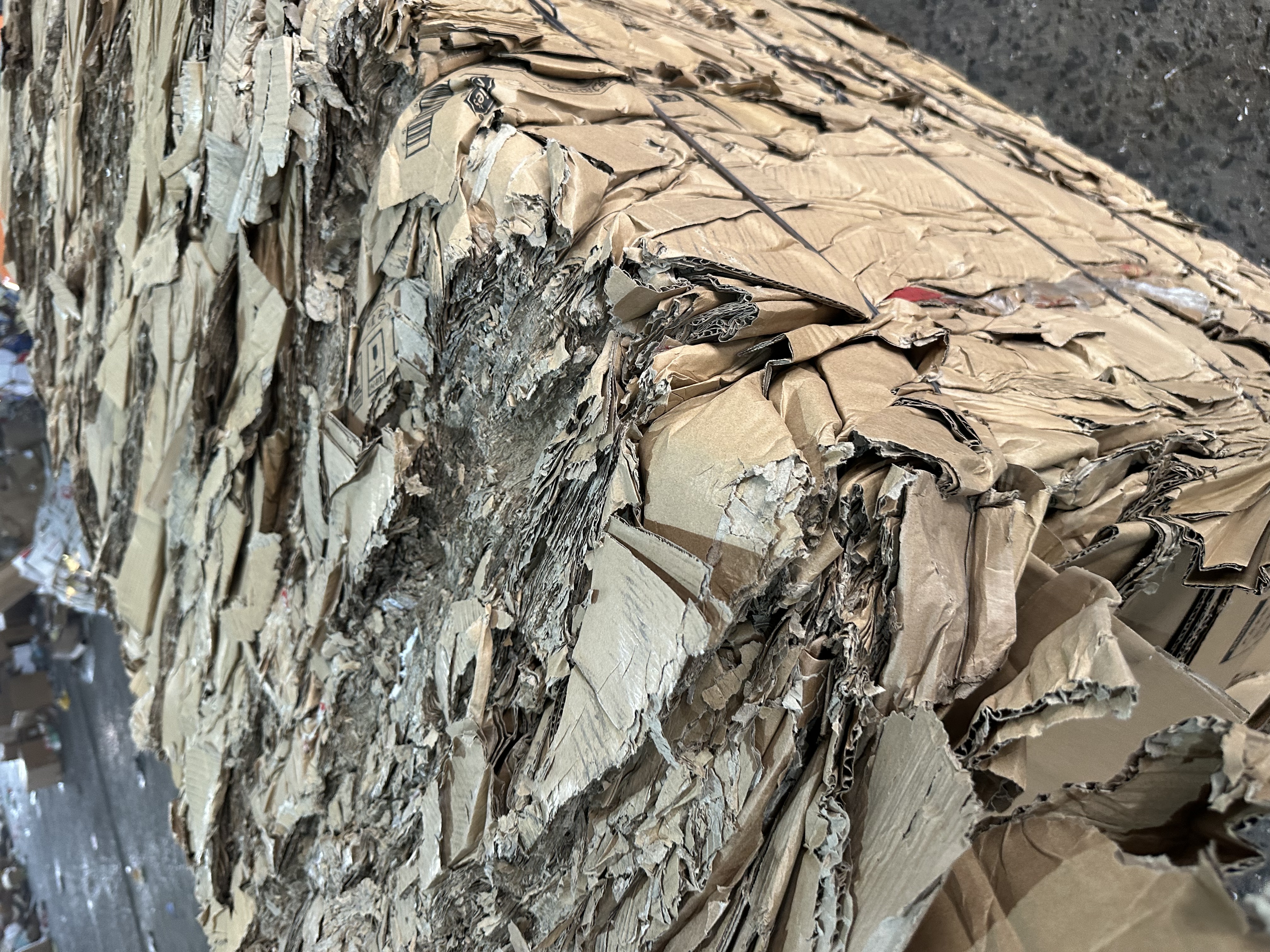 深圳罗湖区文件销毁服务2026+市+镇+区+域服务