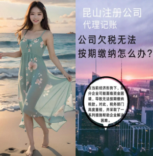 2026升级：昆山开发区股权架构设计哪家好推荐昆山泰信丰