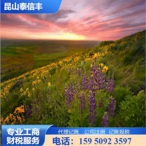 2026甄选：昆山千灯镇税务咨询公司靠谱代理机构推荐昆山泰信丰