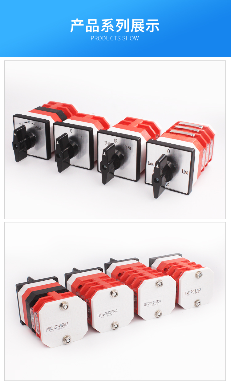 LW12-16XZDH04-2Y万能转换开关