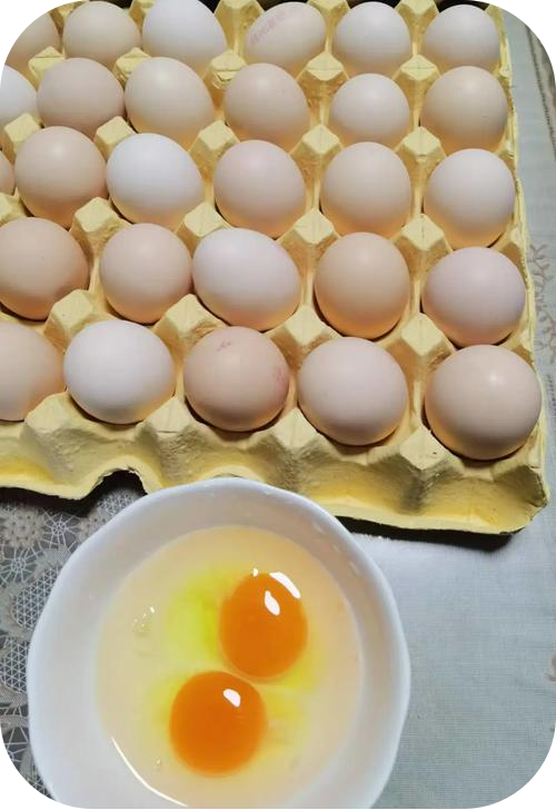 2026甄选：广东清远评价高的鸡蛋检测报告指南汇总热门榜推荐