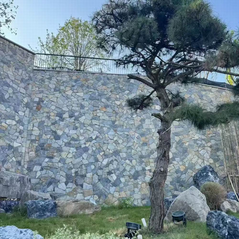 高效秘籍：3步解锁，效果立见！